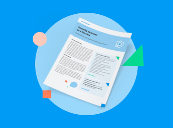 Security Scanner Datasheet